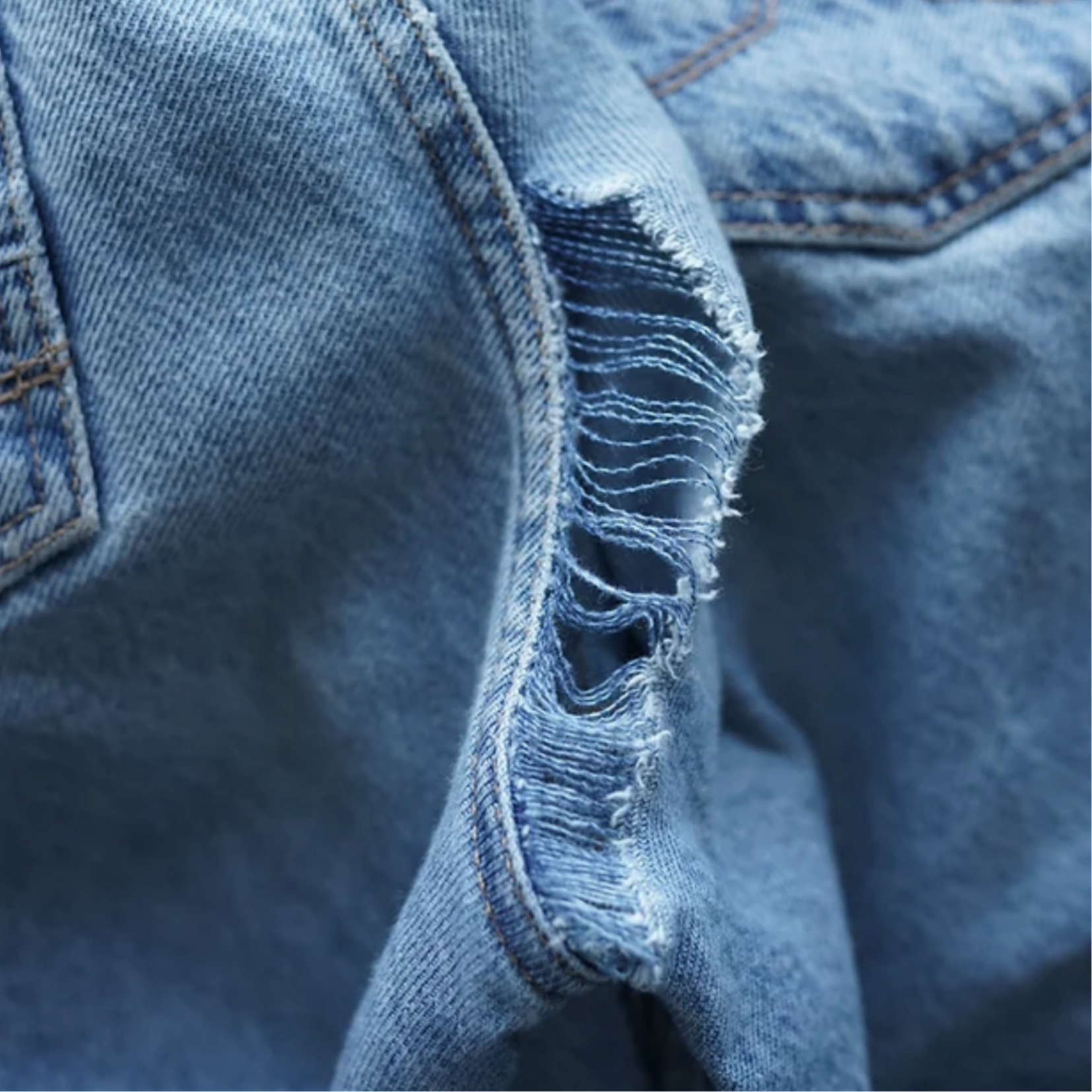 The Dutch Crotch